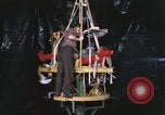 Immagine di Astronauta Virgil Grissom United States USA, 1960, secondo 53 filmato di repertorio 65675023291