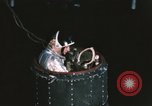 Immagine di Astronauta Virgil Grissom United States USA, 1960, secondo 53 filmato di repertorio 65675023294