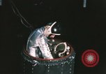 Immagine di Astronauta Virgil Grissom United States USA, 1960, secondo 57 filmato di repertorio 65675023294