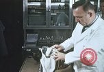 Image chimpanzé pour vaisseaux spatiaux testing United States USA, 1960, de la seconde 9 séquences d'archives historiques vidéo 65675023323