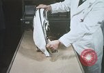 Image chimpanzé pour vaisseaux spatiaux testing United States USA, 1960, de la seconde 18 séquences d'archives historiques vidéo 65675023323
