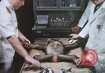 Image chimpanzé pour vaisseaux spatiaux testing United States USA, 1960, de la seconde 28 séquences d'archives historiques vidéo 65675023323