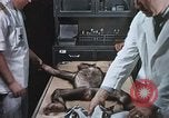 Image chimpanzé pour vaisseaux spatiaux testing United States USA, 1960, de la seconde 29 séquences d'archives historiques vidéo 65675023323