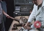 Image chimpanzé pour vaisseaux spatiaux testing United States USA, 1960, de la seconde 30 séquences d'archives historiques vidéo 65675023323