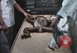 Image chimpanzé pour vaisseaux spatiaux testing United States USA, 1960, de la seconde 31 séquences d'archives historiques vidéo 65675023323