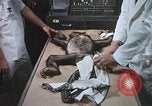 Image chimpanzé pour vaisseaux spatiaux testing United States USA, 1960, de la seconde 32 séquences d'archives historiques vidéo 65675023323