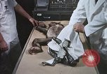 Image chimpanzé pour vaisseaux spatiaux testing United States USA, 1960, de la seconde 33 séquences d'archives historiques vidéo 65675023323