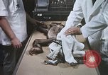 Image chimpanzé pour vaisseaux spatiaux testing United States USA, 1960, de la seconde 34 séquences d'archives historiques vidéo 65675023323