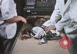 Image chimpanzé pour vaisseaux spatiaux testing United States USA, 1960, de la seconde 38 séquences d'archives historiques vidéo 65675023323