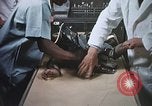 Image chimpanzé pour vaisseaux spatiaux testing United States USA, 1960, de la seconde 43 séquences d'archives historiques vidéo 65675023323