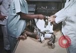 Image chimpanzé pour vaisseaux spatiaux testing United States USA, 1960, de la seconde 50 séquences d'archives historiques vidéo 65675023323