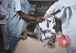 Image chimpanzé pour vaisseaux spatiaux testing United States USA, 1960, de la seconde 52 séquences d'archives historiques vidéo 65675023323