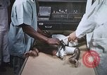 Image chimpanzé pour vaisseaux spatiaux testing United States USA, 1960, de la seconde 55 séquences d'archives historiques vidéo 65675023323