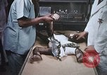 Image chimpanzé pour vaisseaux spatiaux testing United States USA, 1960, de la seconde 61 séquences d'archives historiques vidéo 65675023323