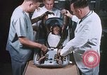 Image of Chimpanzee for spacecraft testing United States USA, 1960, second 16 stock footage video 65675023324