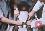 Image of Chimpanzee for spacecraft testing United States USA, 1960, second 37 stock footage video 65675023324
