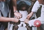 Image of Chimpanzee for spacecraft testing United States USA, 1960, second 38 stock footage video 65675023324