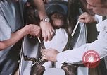 Image of Chimpanzee for spacecraft testing United States USA, 1960, second 42 stock footage video 65675023324