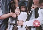 Image of Chimpanzee for spacecraft testing United States USA, 1960, second 43 stock footage video 65675023324