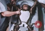 Image of Chimpanzee for spacecraft testing United States USA, 1960, second 48 stock footage video 65675023324