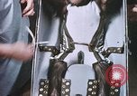 Image of Chimpanzee for spacecraft testing United States USA, 1960, second 56 stock footage video 65675023324
