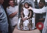 Image of Chimpanzee for spacecraft testing United States USA, 1960, second 61 stock footage video 65675023324