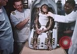 Image of Chimpanzee for spacecraft testing United States USA, 1960, second 62 stock footage video 65675023324