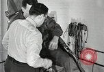 Immagine di Astronauta Archie T Iddings Ohio United States USA, 1959, secondo 43 filmato di repertorio 65675023400