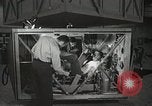 Image of Astronaut Scott Carpenter Ohio United States USA, 1959, second 25 stock footage video 65675023420