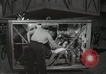 Image of Astronaut Scott Carpenter Ohio United States USA, 1959, second 26 stock footage video 65675023420