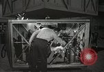 Image of Astronaut Scott Carpenter Ohio United States USA, 1959, second 27 stock footage video 65675023420