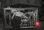 Image of Astronaut Scott Carpenter Ohio United States USA, 1959, second 28 stock footage video 65675023420