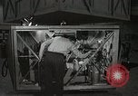 Image of Astronaut Scott Carpenter Ohio United States USA, 1959, second 29 stock footage video 65675023420