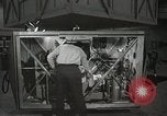 Image of Astronaut Scott Carpenter Ohio United States USA, 1959, second 30 stock footage video 65675023420