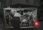 Image of Astronaut Scott Carpenter Ohio United States USA, 1959, second 34 stock footage video 65675023420