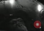 Image of Mercury Spacecraft 5 MR 2 United States USA, 1961, second 22 stock footage video 65675023473