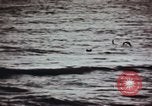 Image of Wright brothers National Memorial North Carolina United States USA, 1970, second 57 stock footage video 65675023501