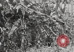 Immagine di Canale di Panama la costruzione Panama, 1903, secondo 11 filmato di repertorio 65675023504