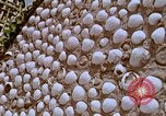 Image of Buildings in United States United States USA, 1970, second 44 stock footage video 65675023512