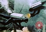 Immagine di Deep sea divers United States USA, 1970, secondo 38 filmato di repertorio 65675023515