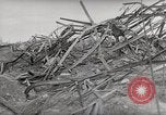 Immagine di Bombardato rete ferroviaria Belgio Malines, 1944, secondo 38 filmato di repertorio 65675023525