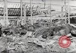 Immagine di Bombardato rete ferroviaria Belgio Malines, 1944, secondo 60 filmato di repertorio 65675023525