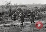 Immagine di Le forze alleate Francia, 1944, secondo 33 filmato di repertorio 65675023526