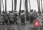 Immagine di Le forze alleate Francia, 1944, secondo 56 filmato di repertorio 65675023526