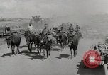 Immagine di Esercito muli traghettato La Birmania, 1944, secondo 16 filmato di repertorio 65675023528