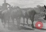 Immagine di Esercito muli traghettato La Birmania, 1944, secondo 28 filmato di repertorio 65675023528