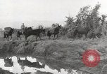 Immagine di Esercito muli traghettato La Birmania, 1944, secondo 30 filmato di repertorio 65675023528