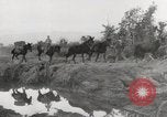 Immagine di Esercito muli traghettato La Birmania, 1944, secondo 31 filmato di repertorio 65675023528