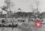 Immagine di Esercito muli traghettato La Birmania, 1944, secondo 41 filmato di repertorio 65675023528