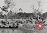 Immagine di Esercito muli traghettato La Birmania, 1944, secondo 42 filmato di repertorio 65675023528